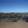 Caves Beach North