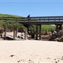Long Reef Beach