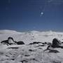 Mount Kosciuszko