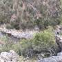 Arakoon Private Property
