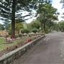 Rookwood Cemetery