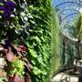 The Calyx - Royal Botanic Garden Sydney