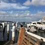 Beare Park Elizabeth Bay Marina