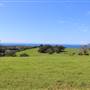 Rosebank Farm