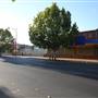Tumut