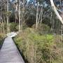 The Gully Walk, Katoomba (formerly Catalina Park)