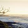 Shelly Beach Rockpools