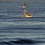 Fishing Trawlers