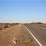 Menindee Road