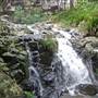 Terania Creek - Waterfalls & Rainforest