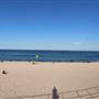 Bondi Beach