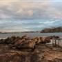 Freshwater Beach & Rockpool