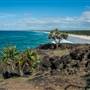 Fingal Head Lighthouse & Coastal Reserve