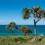 Fingal Head Lighthouse & Coastal Reserve