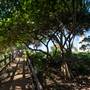 Fingal Head Lighthouse & Coastal Reserve