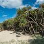 Fingal Head Lighthouse & Coastal Reserve