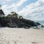 Cabarita Beach