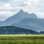 Tweed Valley - Mt Warning Views