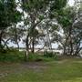 Brunswick Head Estuaries 2017