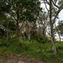 Brunswick Head Estuaries 2017