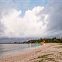Hickey Island - Yamba