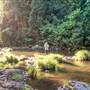 Killen Falls