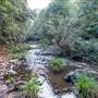 Killen Falls