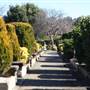 Lung Po Shan - Chinese Memorial Garden