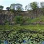 Island Quarry