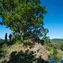 Island Quarry