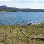 Lake Glenbawn
