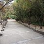 Auburn Botanic Gardens - Japanese Garden