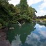 Auburn Botanic Gardens - Japanese Garden