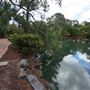 Auburn Botanic Gardens - Japanese Garden