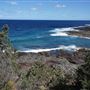 Bass Point Reserve