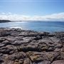 Bass Point Reserve