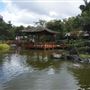 Edogawa Japanese Garden