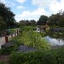 Edogawa Japanese Garden