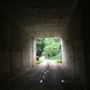 Tunnel on Tweed Valley Way