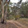 Western Focus Backdrop & Prop Studio - Mudgee Rural Location