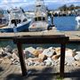 Bermagui