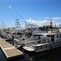 Bermagui