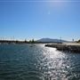 Bermagui