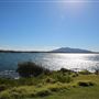 Bermagui
