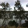 Tuross Head
