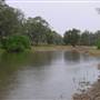 Whylandra Crossing, Dubbo