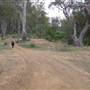 Whylandra Crossing, Dubbo