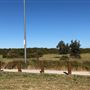 Bonna Point Reserve