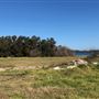 Bonna Point Reserve