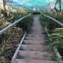 Cronulla